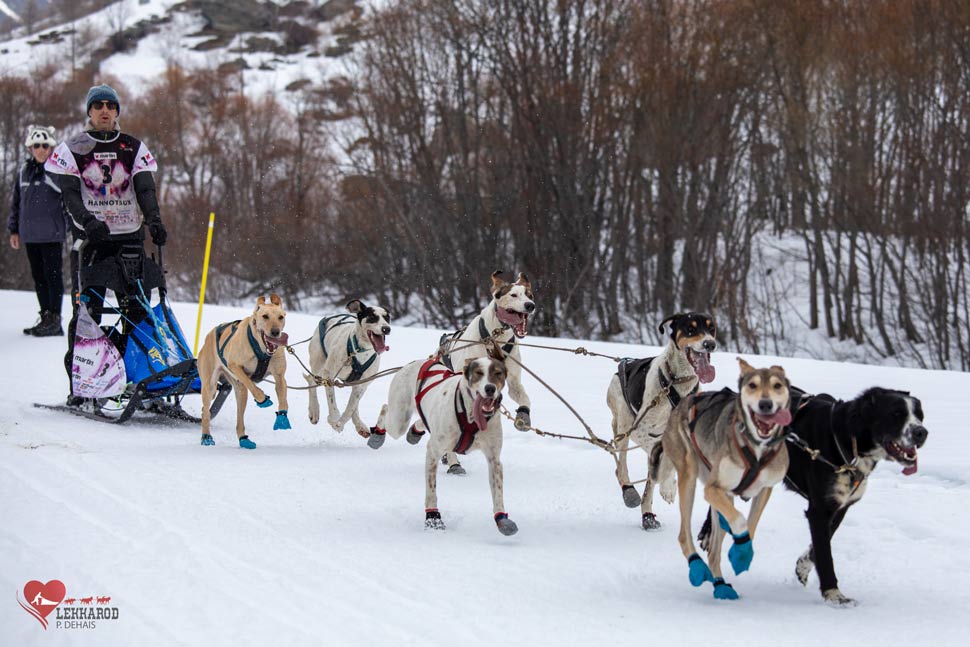musher Lekkarod 2024 - supercroquettes